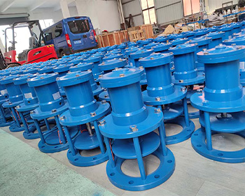 中標(biāo)大型污水處理廠排泥閥項(xiàng)目